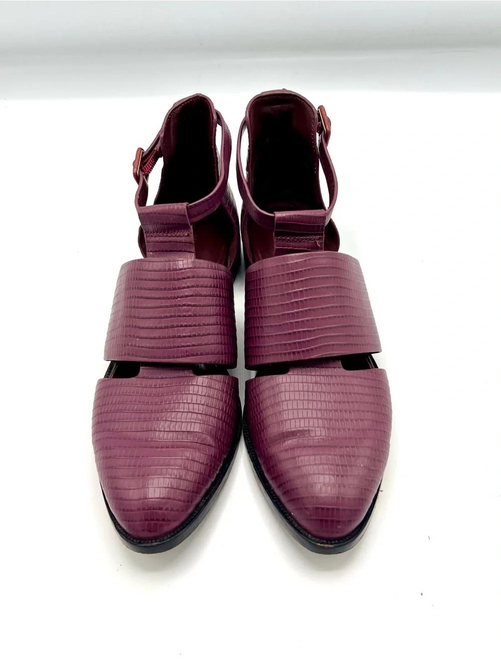 Alexander Wang characterized by
